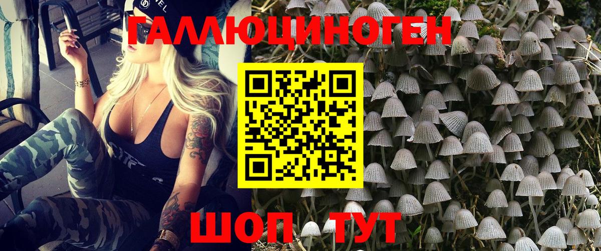 Альметьевск  Галлюциногенные грибы MAGIC MUSHROOMS  Вход с VPN  наркошоп  Галлюциногенные грибы мицелий 