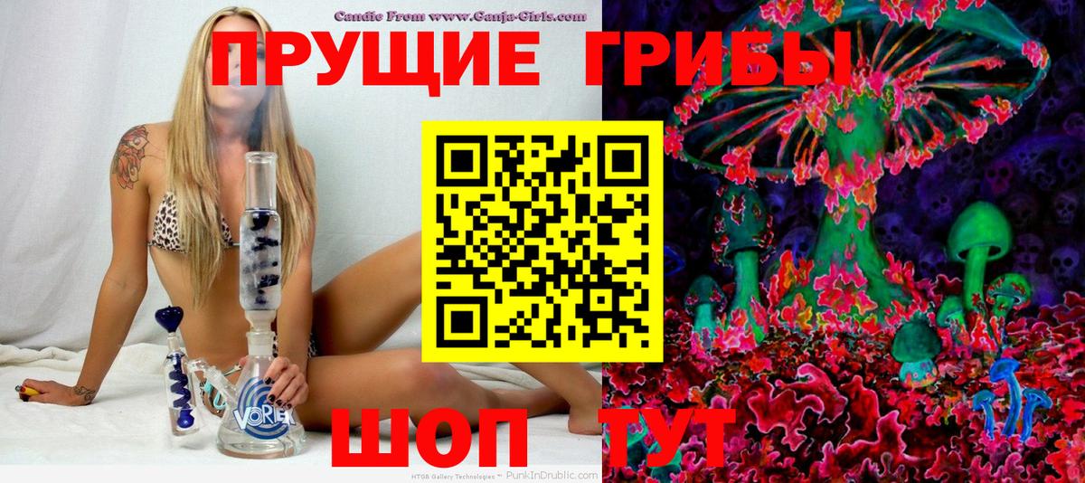 Галлюциногенные грибы Psilocybe Альметьевск